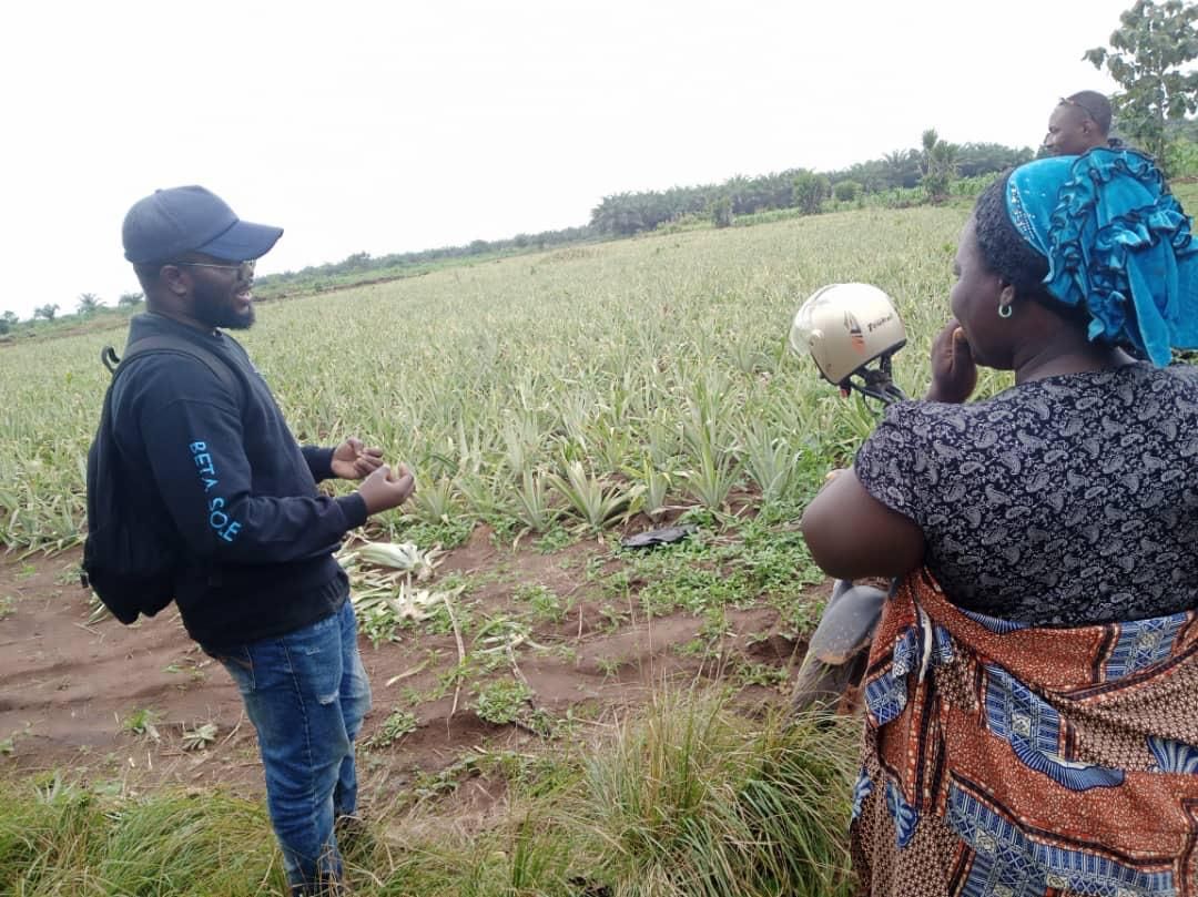 Échange avec des producteurs dans une parcelle d’ananas